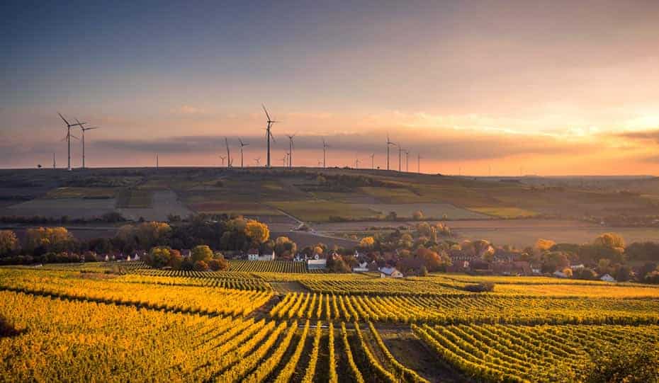 Strategy (image of field and wind farm)